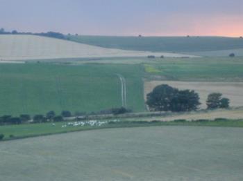 The Rolling South Downs - The rolling hills of the South Downs showing different coloured fields.