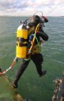 diver in the water - diver jumping into the water