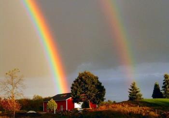 rainbow - rainbow!