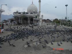 A masjid at Kashmir, India - Photographed at Srinagar, India
