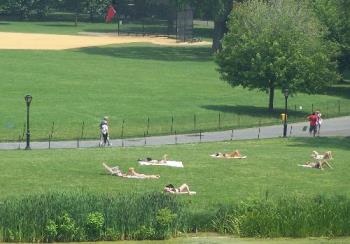 central park - I couldn&#039;t figure it out at first......I guess you have to make use of what you have.....