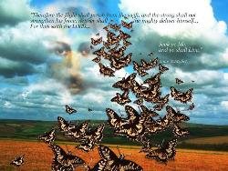 butterflies - A beautiful picture of butterfies with a beautiful background.