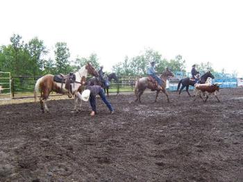 Rodeo at St. Claude, MB, Canada - Photo of Rodeo event in St. Claude, MB. The livestock is well cared for..as the presenters point out without proper care of their animals...there would not be a rodeo. It was a rainy day...and the show went on.