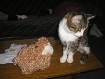 Lily and Mitenka - Lily and her favourite squeaky sheep!