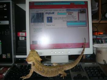 Mylot - Piston reading your topics lol.. Mylot - Piston reading your topics lol..