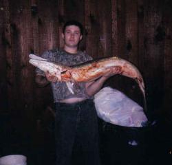 gar my hubby caughts years back - this was caught our of red river by my husband