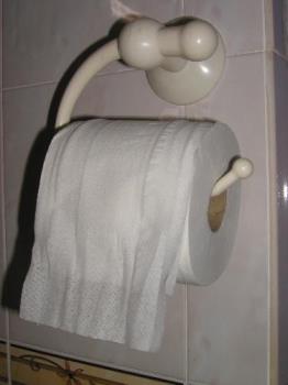 toilet paper and the hanger - It&#039;s quite convenient to fix or remove the toilet paper from the hanger.