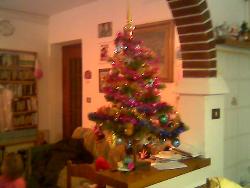 My christmas tree - My christmas tree