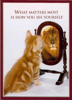 Kitty and Tiger - It is how YOU see yourself that counts!