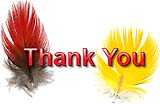 thank you for your response - thank you for your response thank you for your response - thank you for your response