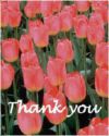 Thank you!! - Thanbk you everyone for replying and sharing your stories!!