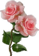 Pink Roses - some flowers to say thanks ;) Pink Roses - some flowers to say thanks ;)