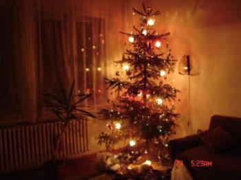 christmas tree - christams tree with lightening