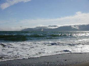 swimming - This is Angel Island