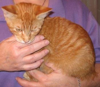 not such a great pix of him - we took 3 pix, so you get to see all of them not such a great pix of him - we took 3 pix, so you get to see all of them