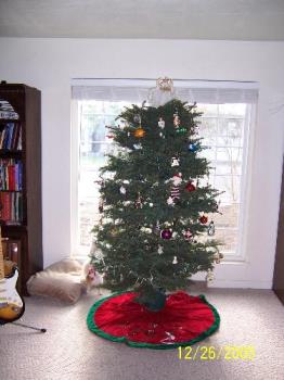 Christmas tree from last year - My fake Christmas tree from last year