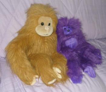 My Arangatung - My arangatungs, my brown one from the Melbourne Zoo and the other one I bought because he was purple.