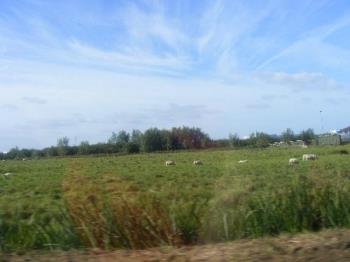 just outside of Amsterdam - photo taken just outside Amsterdam