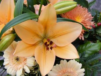 nice golden orange lily - nice golden orange lily in my BD bouqet