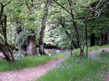 The Path at Tarr Steps - The path leading alongside the river at Tarr Steps. Never straight, never smooth, like the path of life. The Path at Tarr Steps - The path leading alongside the river at Tarr Steps. Never straight, never smooth, like the path of life.
