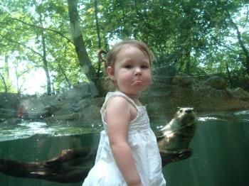 Sena and the sea otters - This is a great picture of my daughter at the zoo. She loved the sea otters because they were putting on a good show that day. Sena and the sea otters - This is a great picture of my daughter at the zoo. She loved the sea otters because they were putting on a good show that day.