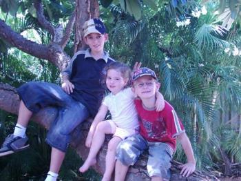 Brodie, Jake and Sophie - Broome grandkids climb a tree