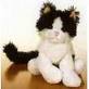 Trendy, My Webkinz - Trendy, My First Webkinz