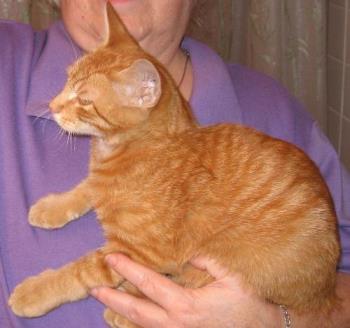 Capt Jack - He's such a sweetie! Capt Jack - He's such a sweetie!