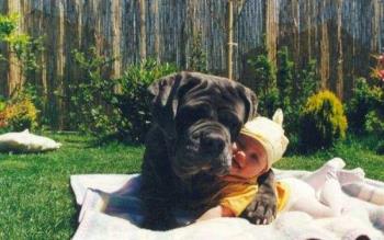 Baby and dog - sweet...