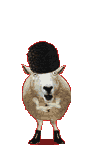Sheep - Sheep dancing gif