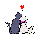 cats - loving cats
