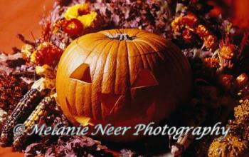 A Halloween Set-Up scene - photo of a carved pumpkin