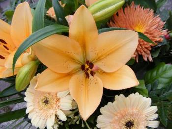 lilies in a bouquet for my BD - beautiful lilies in a BD bouqet lilies in a bouquet for my BD - beautiful lilies in a BD bouqet