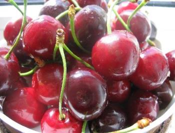 Plate of sweet cherries - I love them, they are juicy, tasty and more seet than normal cherries:F Seet cherries are my fafourite fruits:)