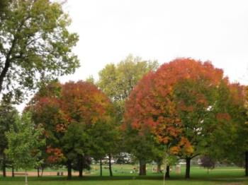 Splendid Colors - Taken at a lake/park in Minneapolis Minnesota Oct 6th.