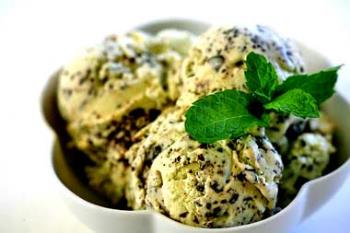 Mint Chocolate-Chip Ice Cream - Taken from this site:

http://www.elise.com/recipes/archives/006066mint_chocolate_chip_ice_cream.php