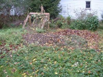 Leaf Pile - Ok, it's not ALL leaves, My hubby also mowed grass and threw the clipping in there too. It will be so much fun for the kids to play in, if the weather ever dries out! Leaf Pile - Ok, it's not ALL leaves, My hubby also mowed grass and threw the clipping in there too. It will be so much fun for the kids to play in, if the weather ever dries out!