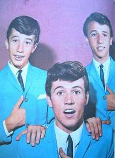 Bee Gees - Bee Gees early pic.