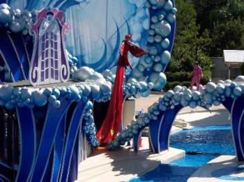 This is a picture of the sea world dolphin show - This picture was taken at Sea World in Orlando