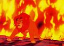 challenge - lion on fire