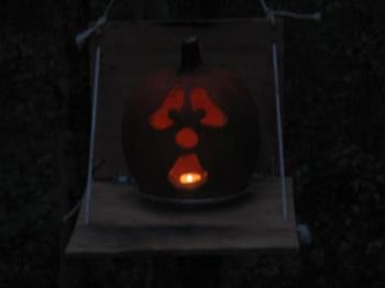Shcoked Look - A shocked pumpkin? Shcoked Look - A shocked pumpkin?