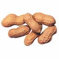 Crunchy peanuts - Crunchy and yummy peanuts