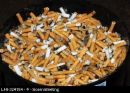 Looks gross doesn&#039;t it? - ashtray full of cigarette butts