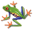 What is the best kind of pet frog to keep in an aq - What is the best kind of pet frog to keep in an aquarium?
What is the best kind of pet frog to keep in an aq - What is the best kind of pet frog to keep in an aquarium?