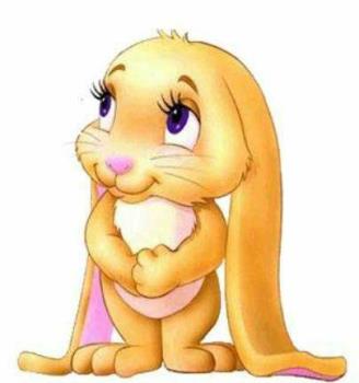 lovely bunny - This bunny loves you, you can see it in the eyes!