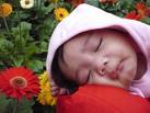 sleep - sleep image