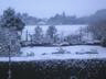 First Snowfall January 2007 - Snow in my garden and the field beyond, January 2007, early light.