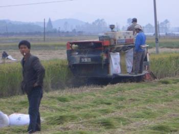 another picture of Chinese farmers - This is another photo of the Chinese farmers working in the fields. Thanks for enjoying. 