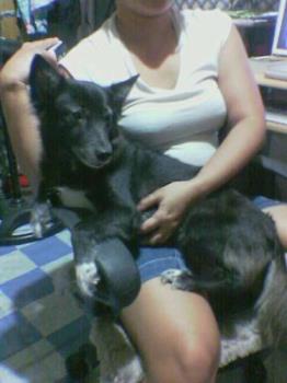 me and whoppie - she always want to be sitting on my lap. me and whoppie - she always want to be sitting on my lap.