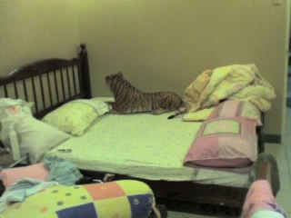 my beloved bed^_^ - and look at my tiger lily^_^ serenity ... love my room..